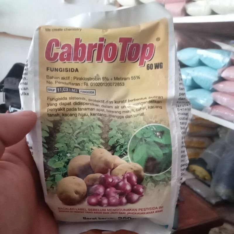 CABRIO TOP 250GR FUNGISIDA