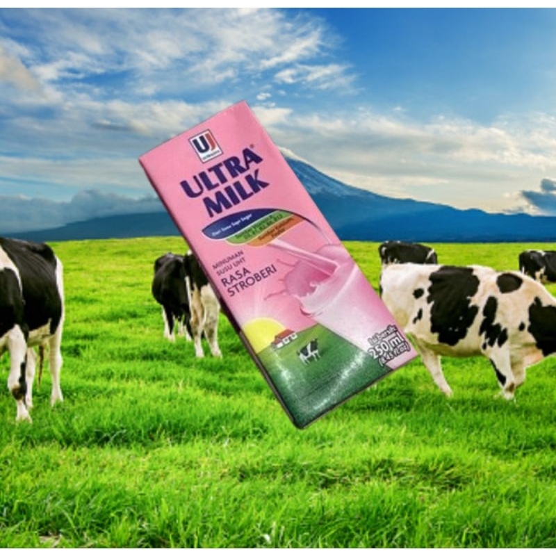 

Ultra Milk Susu UHT Stroberi 250ml - Karton [24pcs]