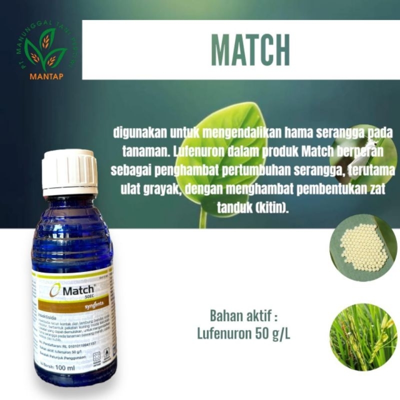 MATCH 50EC 100ML