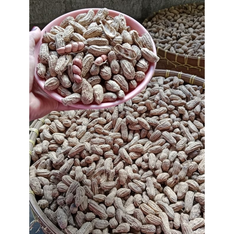 

KACANG KULIT SANGRAI BENDO ORIGINAL 5 KILOGRAM