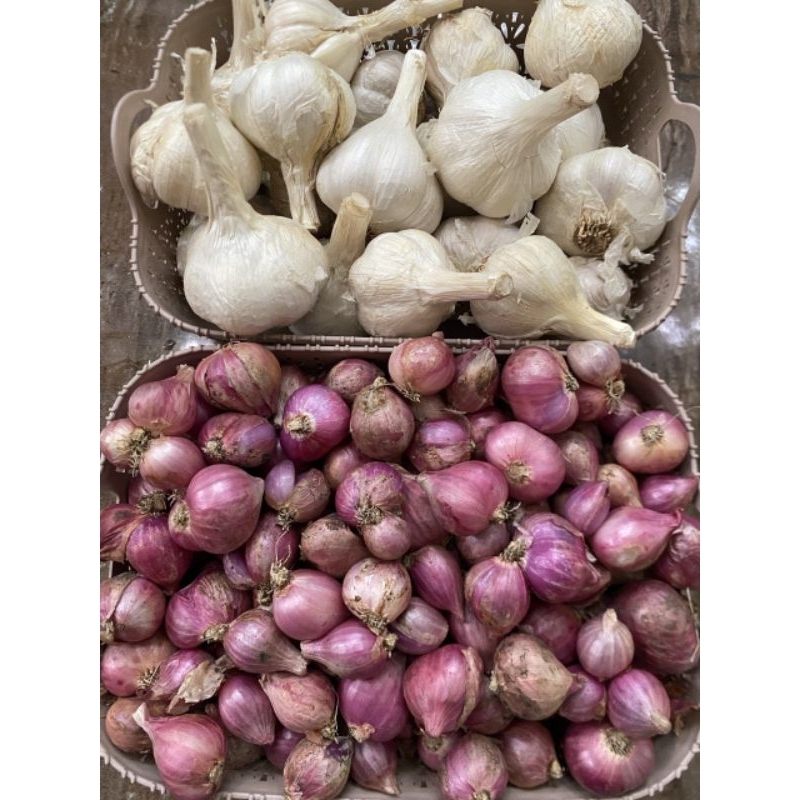 

(1000gr) paket bamer sedang 750gr + baput kating 250gr TERMURAH (D)