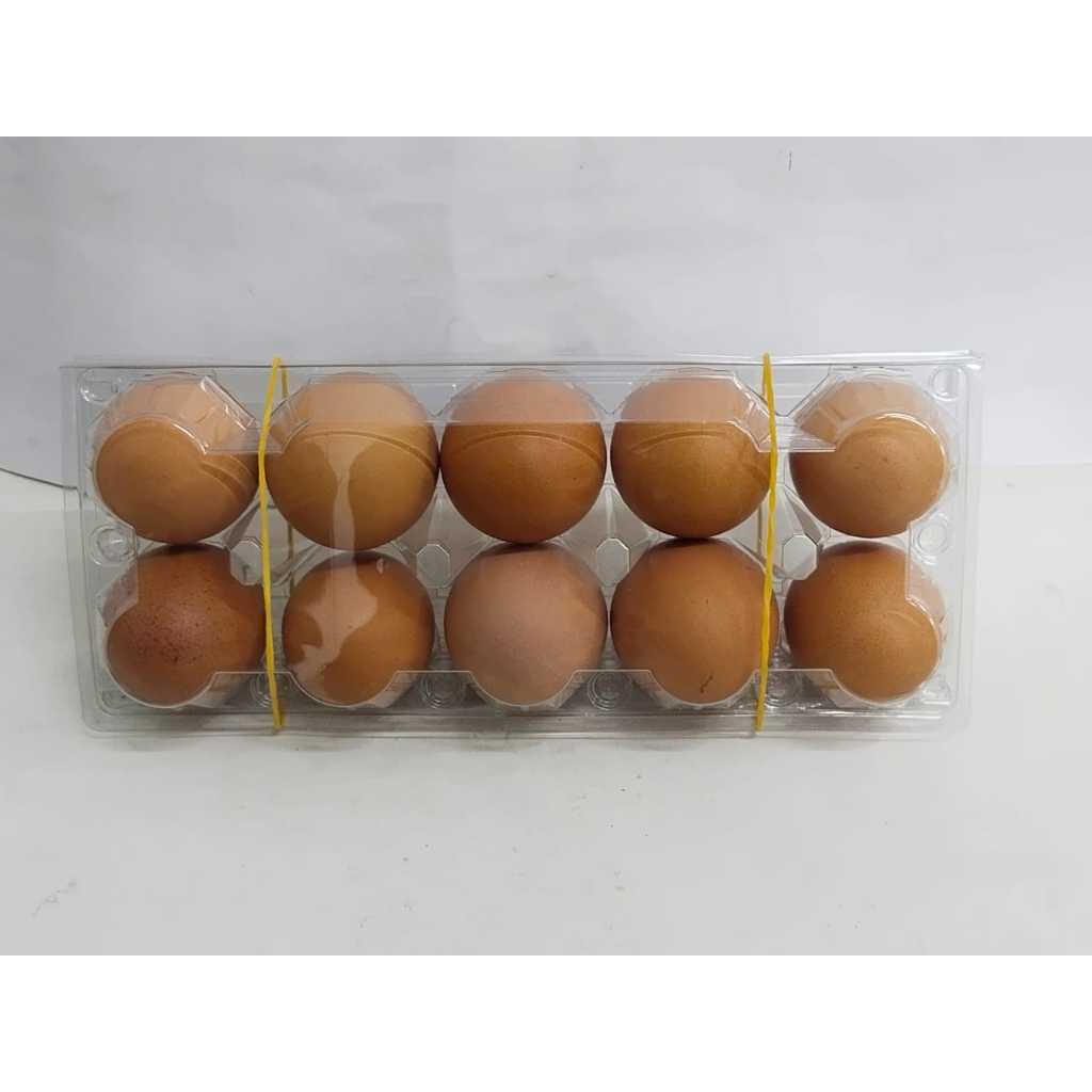 

ASBA TELUR AYAM NEGERI ISI 10PCS