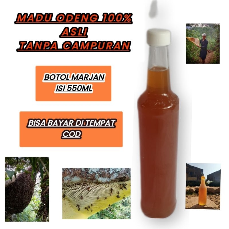 

madu asli tanpa campuran murni 100% asli lebah liar