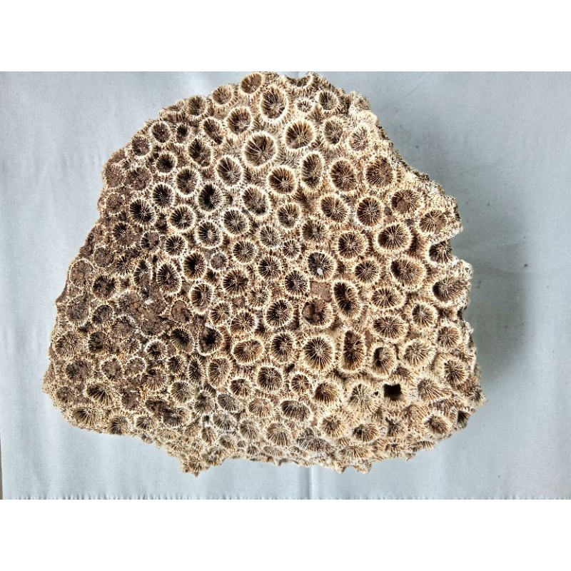 batu asli temuan alam