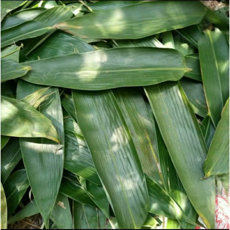 

Daun bambu bacang bakcang segar 1 kg