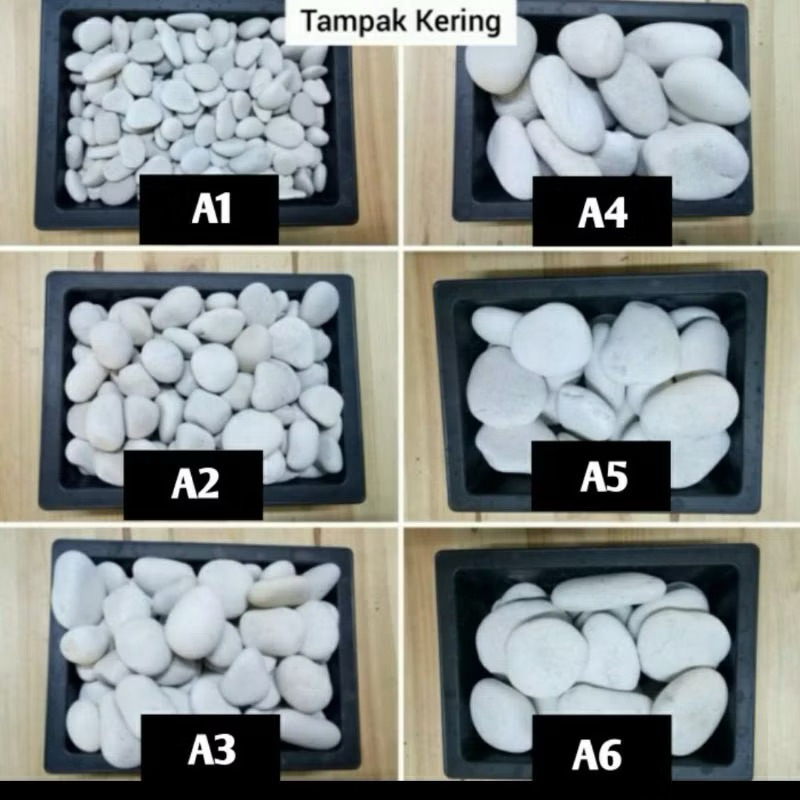 Batu Koral Putih 1 karung