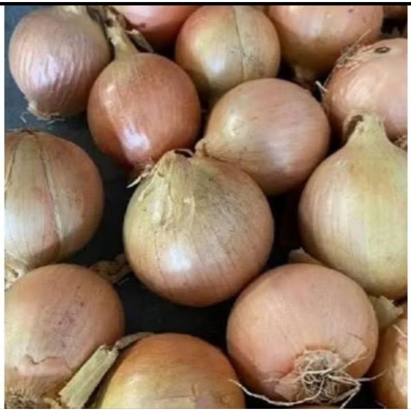 

bawang bombay (1kg)