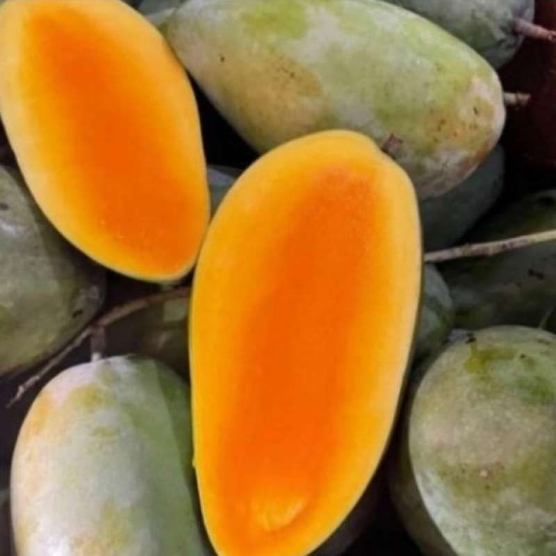 

promo mangga kiojay matang harga perbutir
