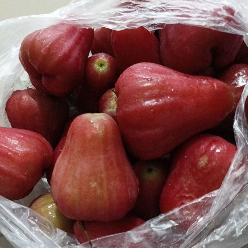 

jambu citra 1kg