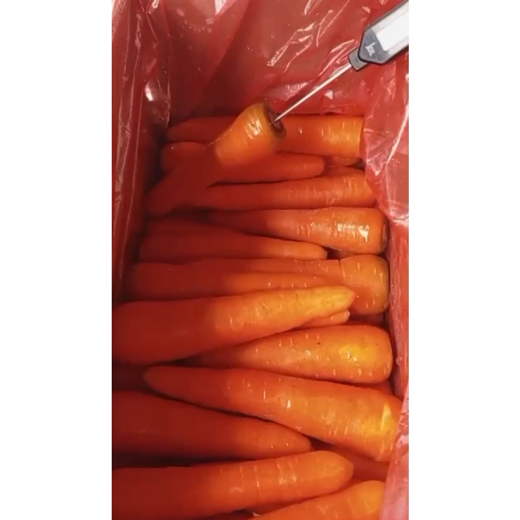 

Wortel Brastagi Dus & Bal 10 Kg