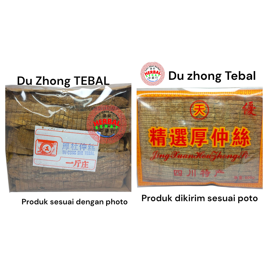 

Du Zhong (TEBAL) 厚杜仲 Hou Tu Chung - Cortex Eucommiae Ulmoidis 600 gram
