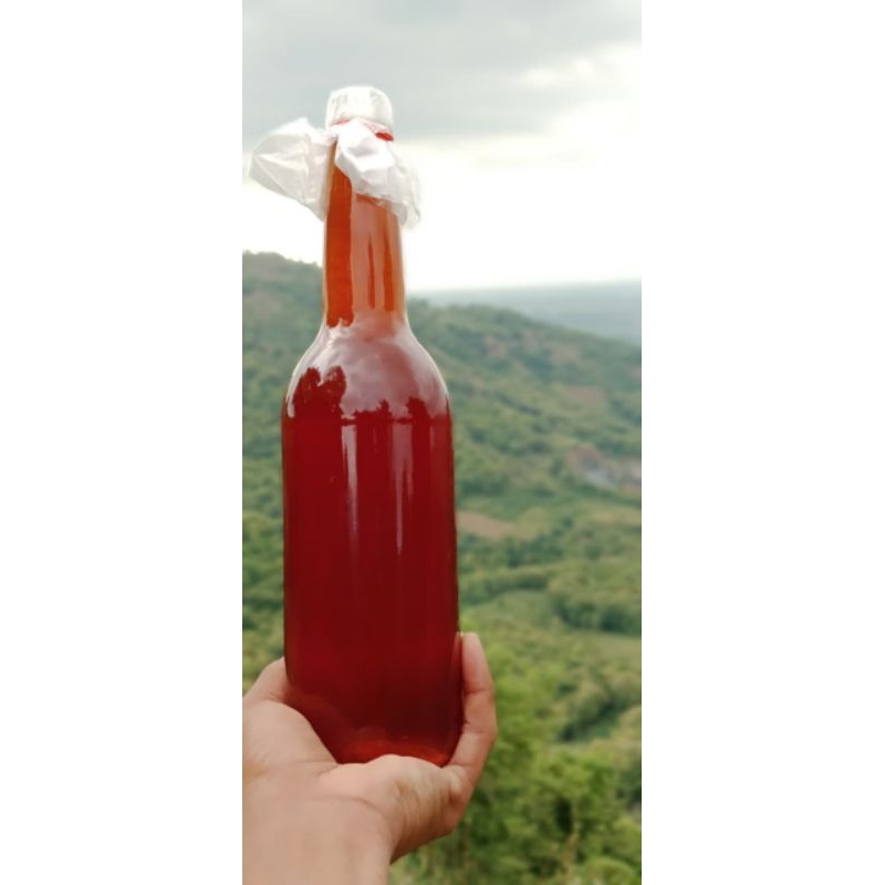 

MADU MURNI LEBAH HUTAN