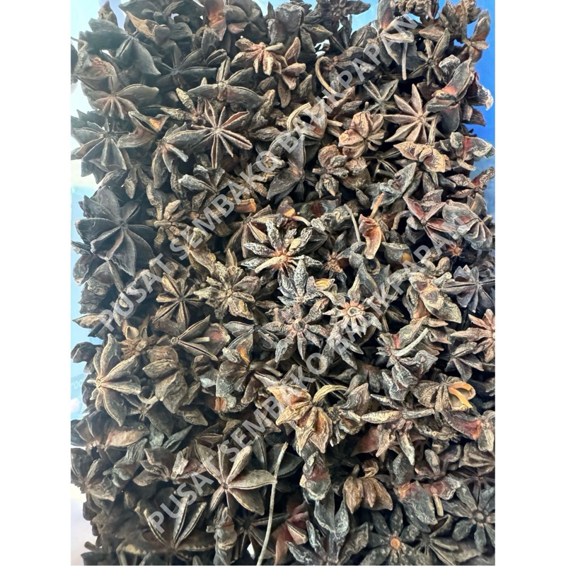 

Pekak / Bunga Lawang / Star Anies