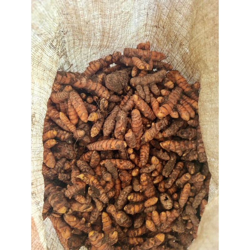 

kunyit segar/kunir fresh 1kg