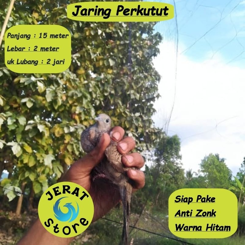 JARING BURUNG PERKUTUT JALA PERKUTUT LOKAL JARING PIKAT KUTUT JARING JEBAK PERKUTUT JALA JEBAK JARIN