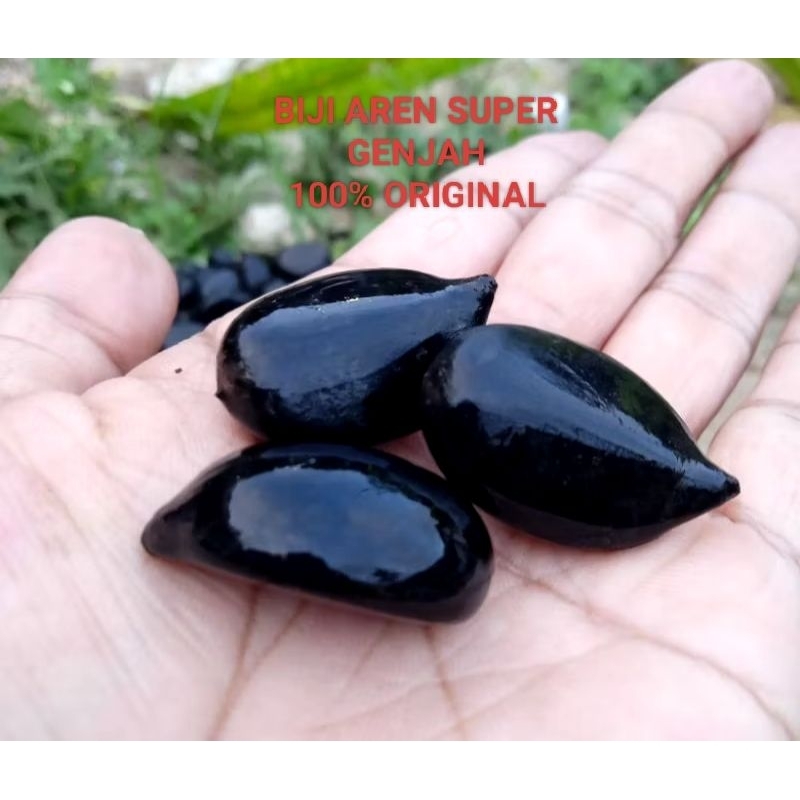 

Biji Aren GENJAH SUPER GRADE A, 100% ORIGINAL. 1KG