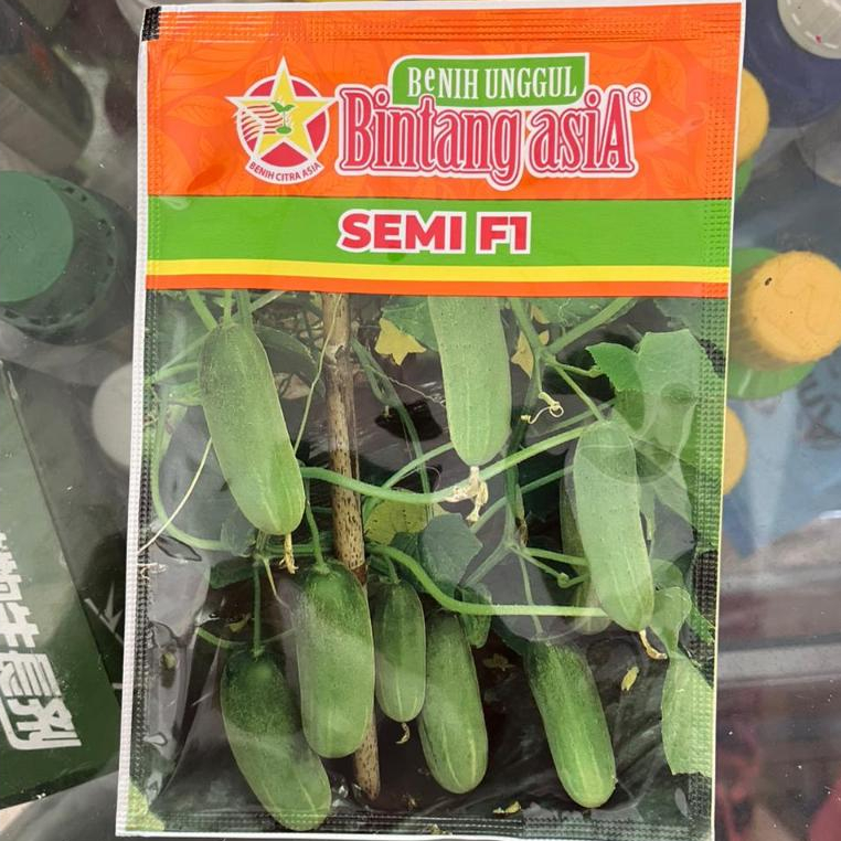 Benih Mentimun SEMI F1 Bintang Asia Timun Lalap Timun Baby