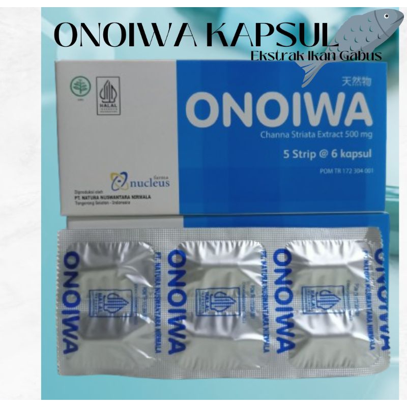 ONOIWA KAPSUL ALBUMIN TUBUH