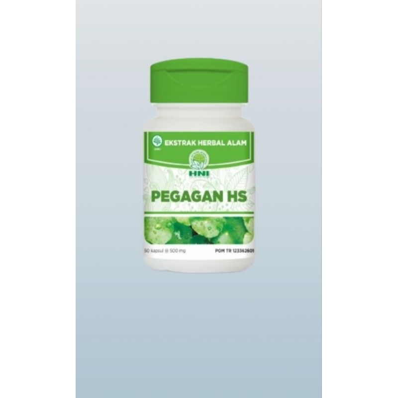 PEGAGAN HS HNI