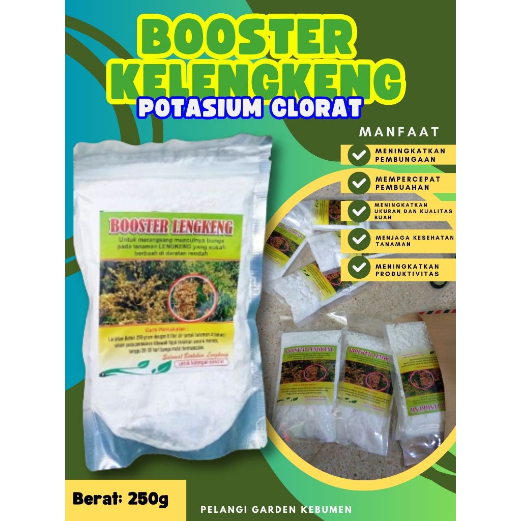 UNGGULAN  Boster Kelengkeng Siap Berbuah, Boster Kelengkeng Stek, Boster Kelengkeng Terbaik