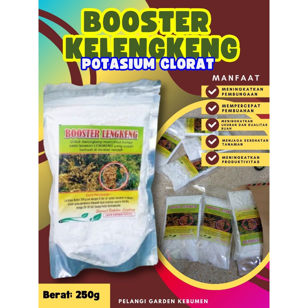 PROMO  Boster Kelengkeng Asli, Boster Kelengkeng Aroma Durian
