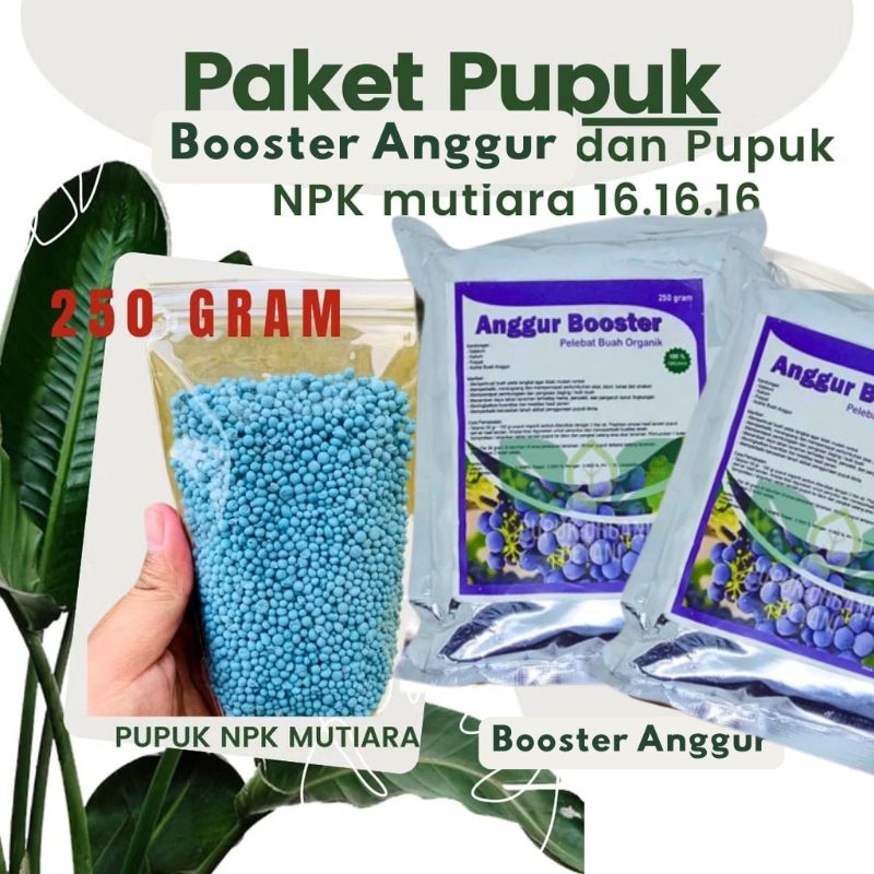PAKET LENGKAP Pupuk Booster Lebat Buah  Pohon Anggur Plus Pupuk NPK Mutiara 16.16.16 250 gram //  Pu