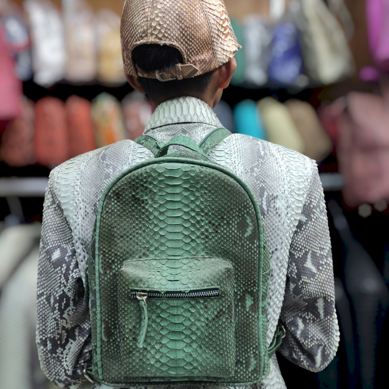 Tas Ransel V Kulit Ular/Mini Backpack/Tas Ransel Mini - Snake Skin Leather Backpack Size 26cm