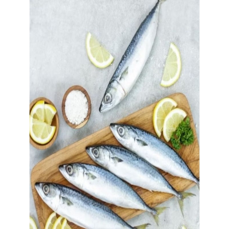 Ikan Salem Frozen