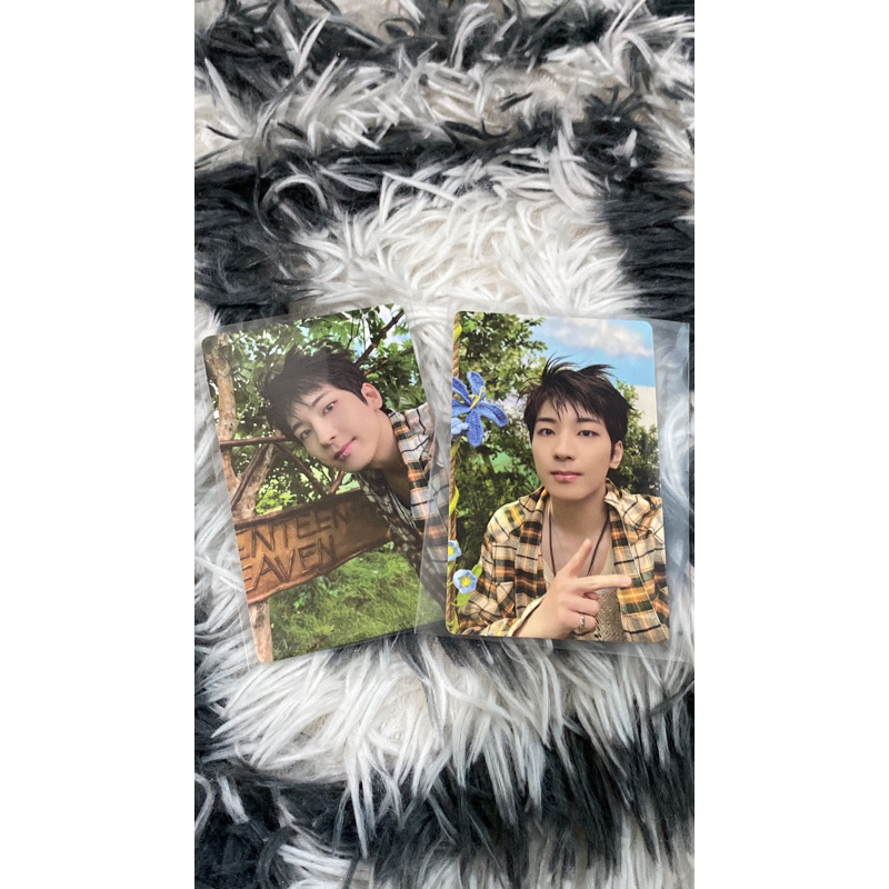 (BACA DESKRIPSI) Photocard  PC Wonwoo DK Doekyom Dino Seventeen an ODE Hope, Henggarae selca, Your C