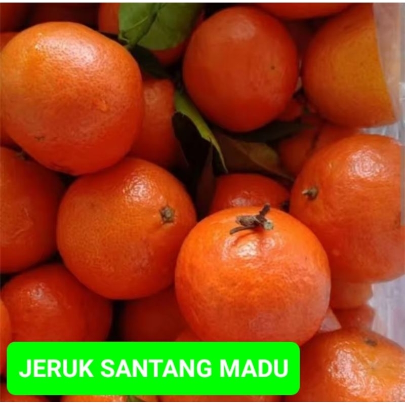 

JERUK SANTANG MADU ISI 500G