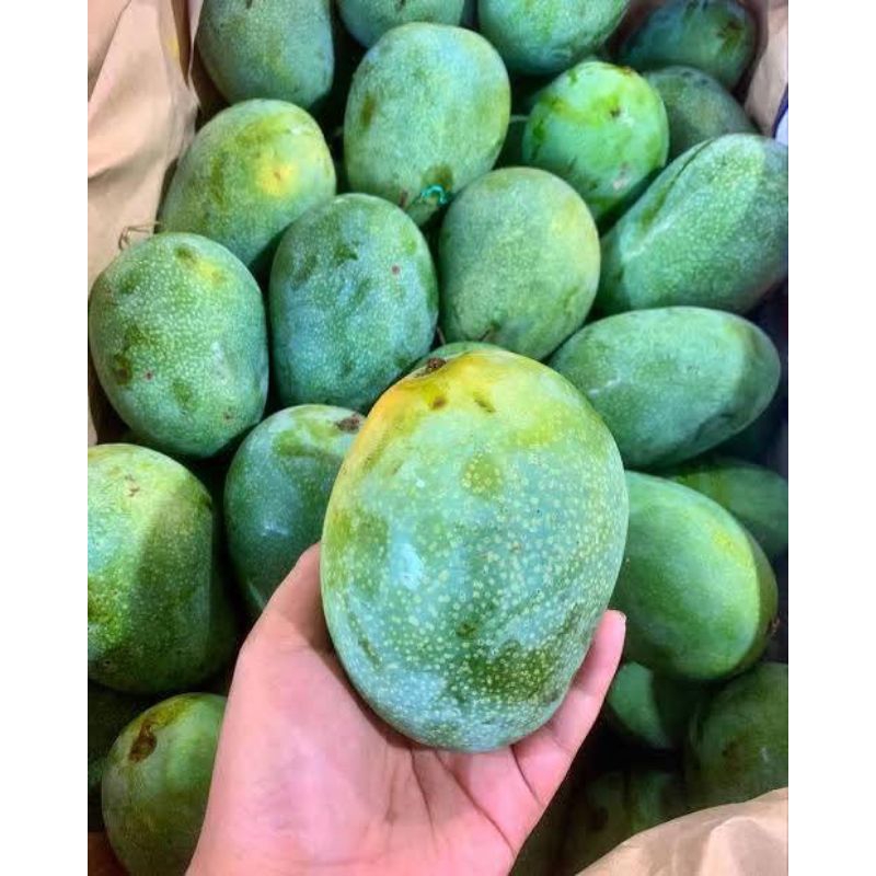 

mangga lalijiwo/mangga madu super 1kg