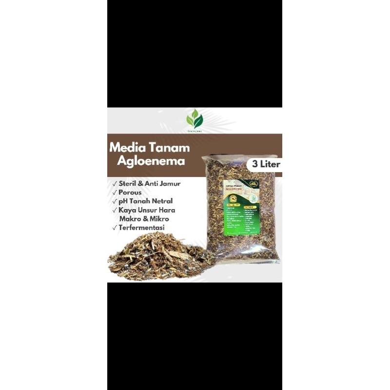Media Tanam Aglonema Fermentasi Media Tanam Aglaonema Siap Pakai Super Premium 3 Liter