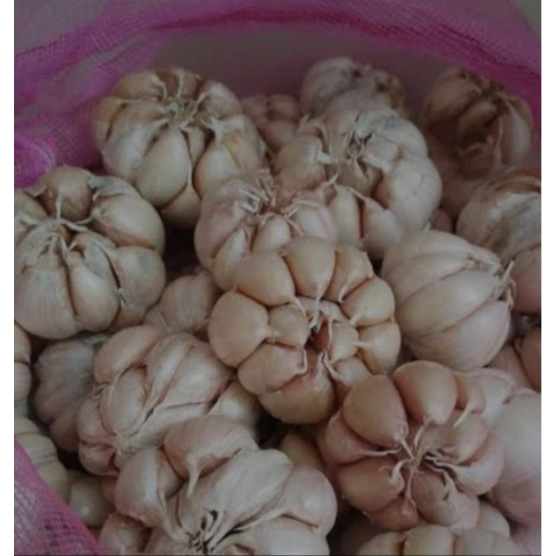

bawang putih fress ½kg//1kg