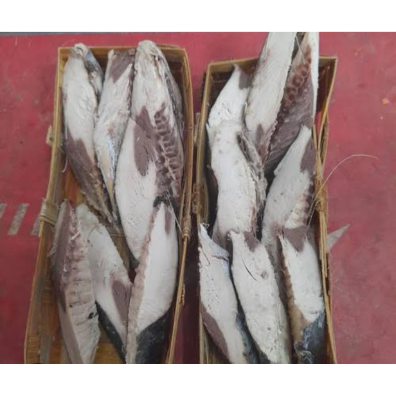 

Ikan tongkol potong 1kg