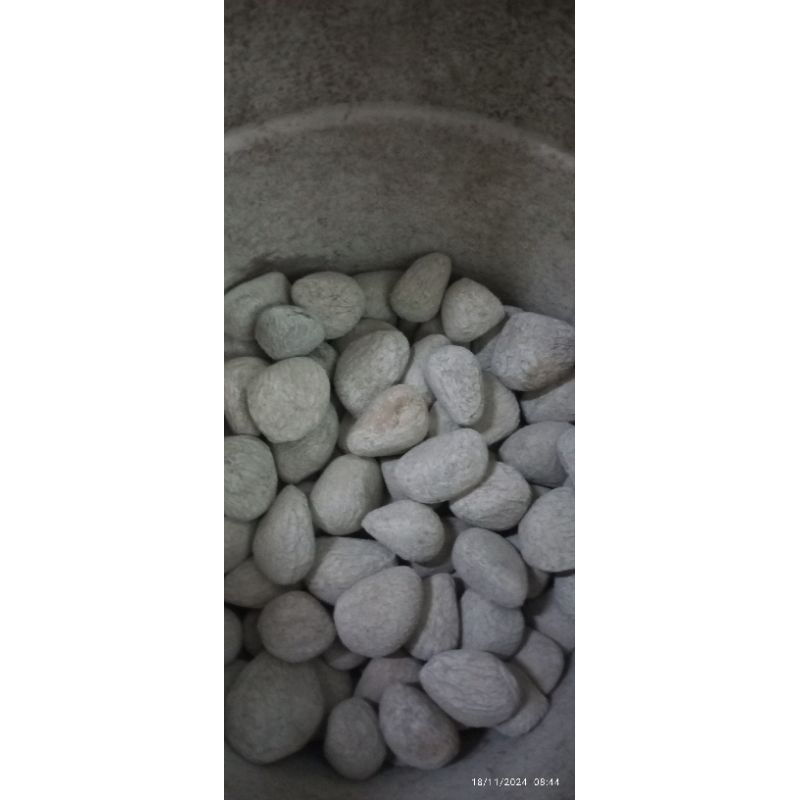 

keluwek berkualitas pas untuk rawon 500g
