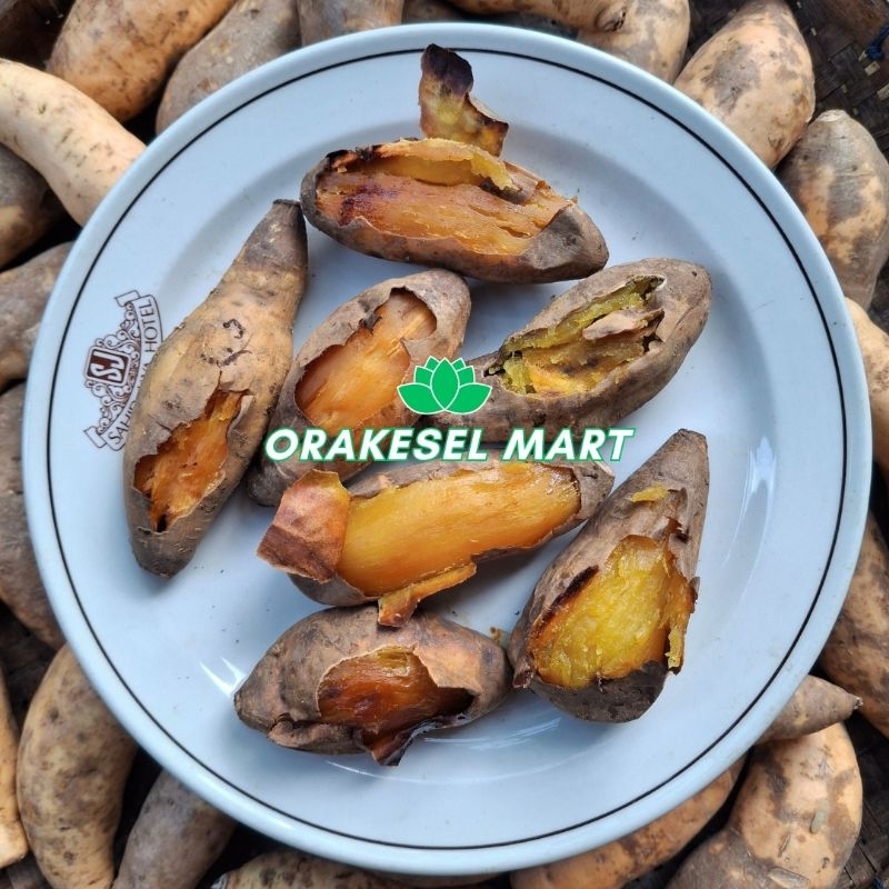 

UBI MADU CILEMBU 1KG SIAP OVEN