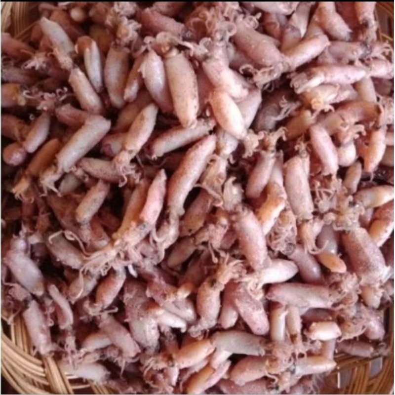 

Cumi asin kecil 100gr..