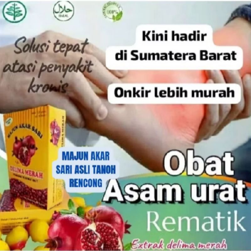 Majun Akar Sari Asli Tanoh Rencong Obat Rematik Asam Urat Saraf Kejepit Dll