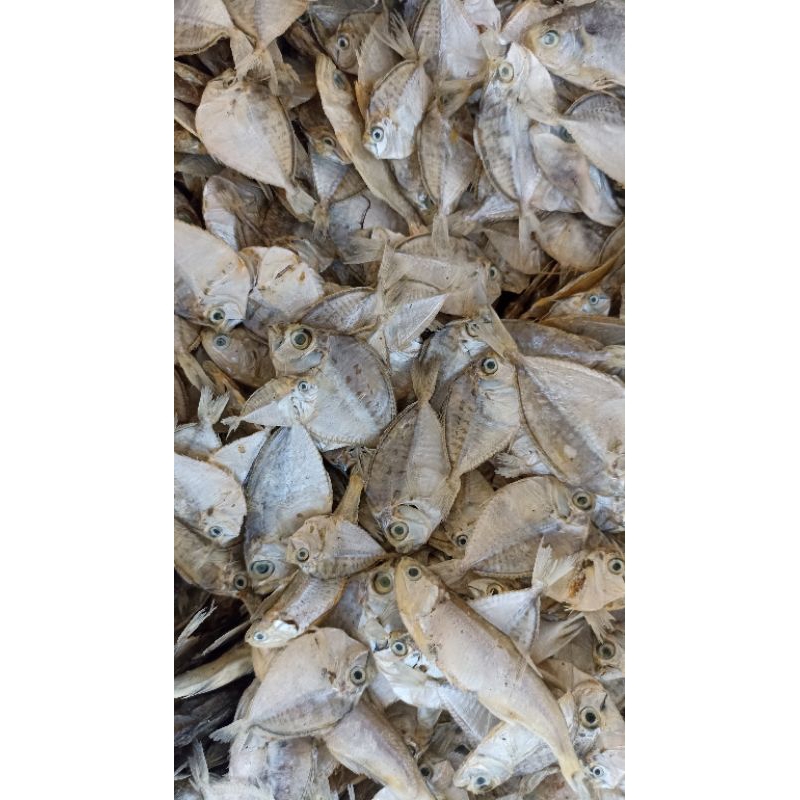 

ikan asin pepetek murah