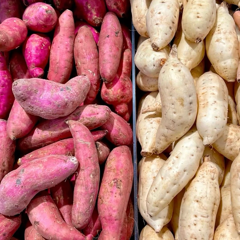 

UBI 1 kg / Ubi Ungu / Ubi Putih / Ubi Kuning