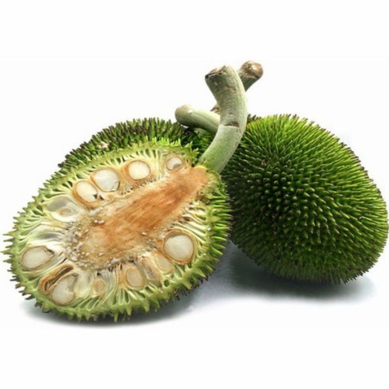 

Kluwih Kluweh perbiji