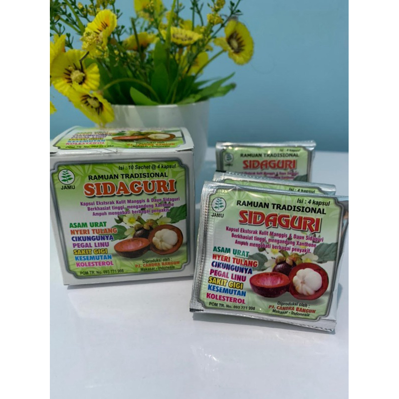 SIDAGURI KAPSUL ORIGINAL