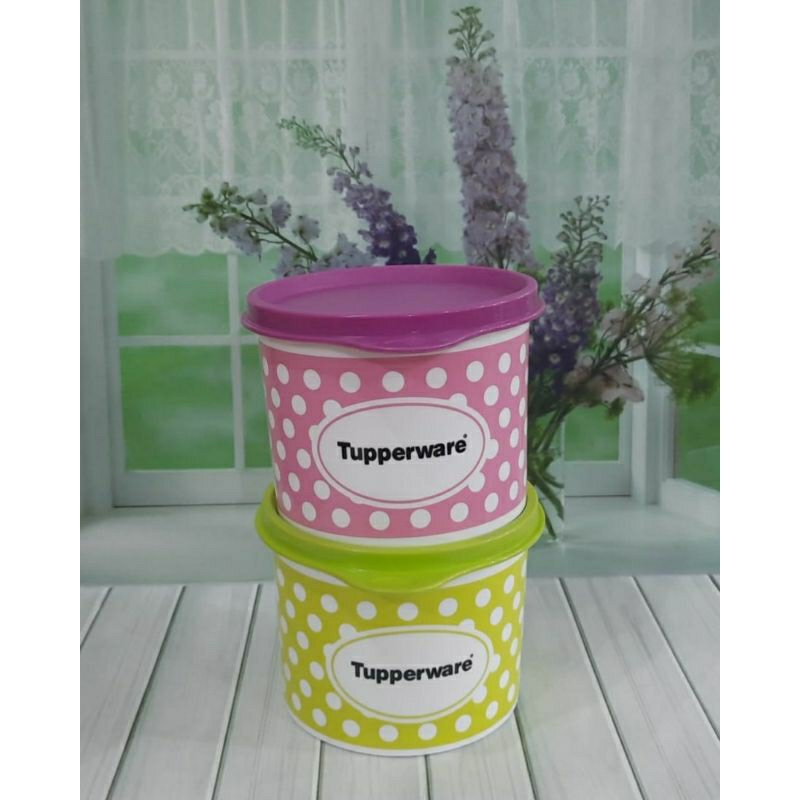 Polkadot Canister
