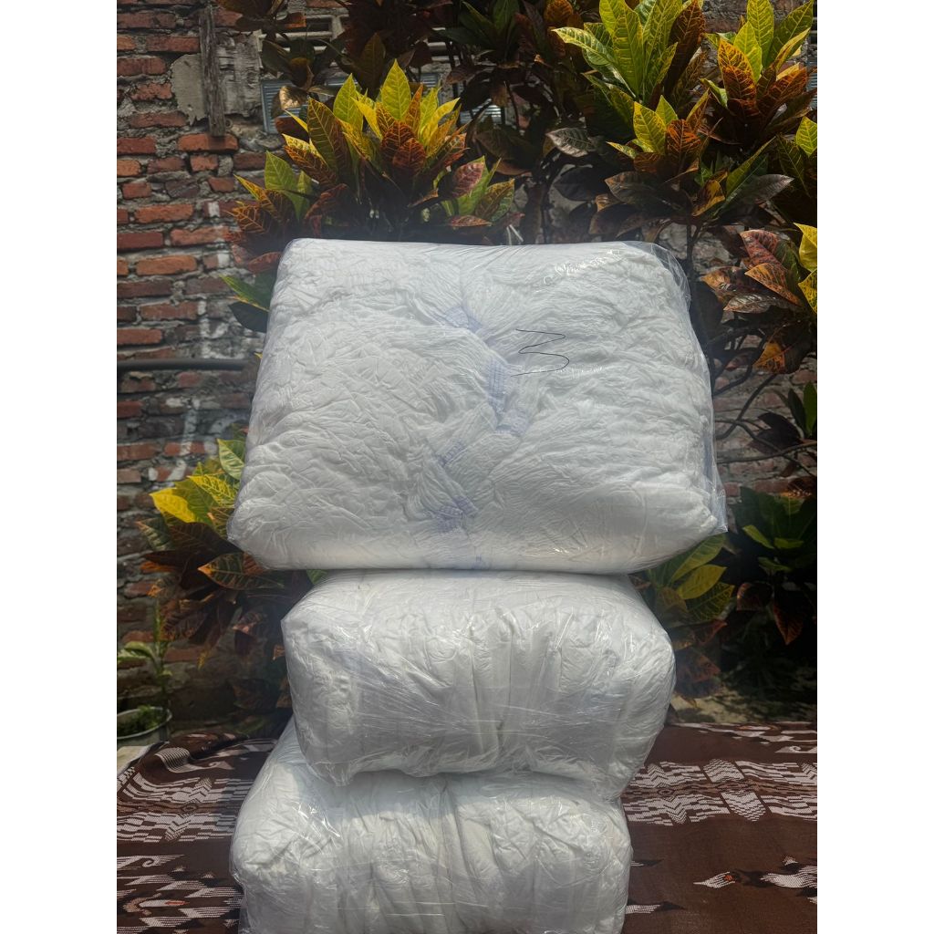 Popok Curah Dewasa Celana Isi 100pcs
