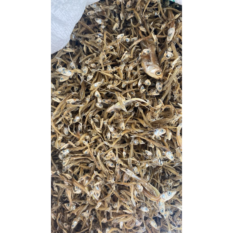 

Teri Nasi/Medan TAWAR RUCAH 1.KG Asli Termurah✅