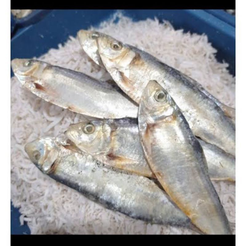 

KIRIM INSTANT Ikan Asim Tembang 100gr
