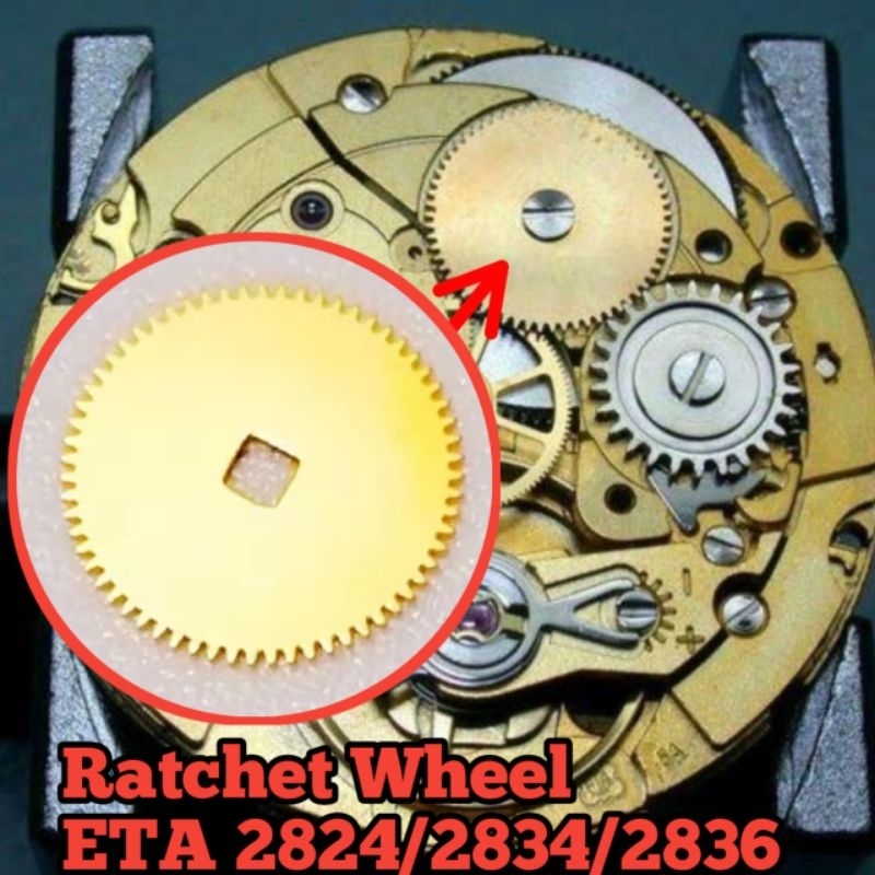 Ratchet wheel ETA 2824/2834/2836 ORIGINAL