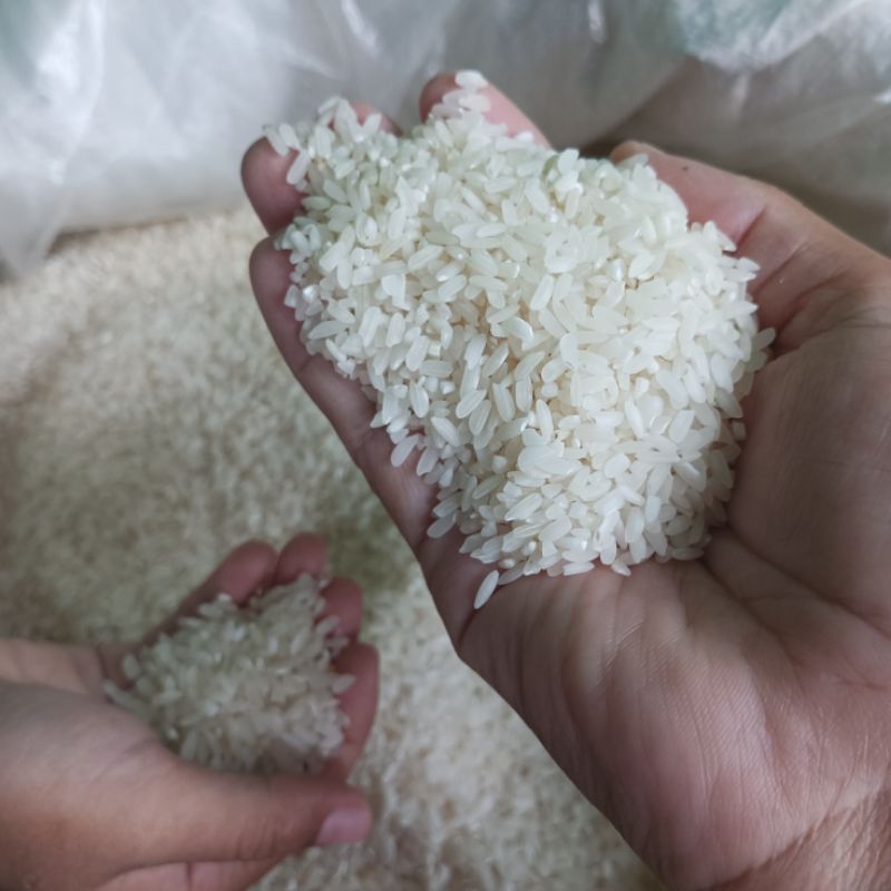 

BERAS MUDIK/SOLOK SUPER (5 KG)