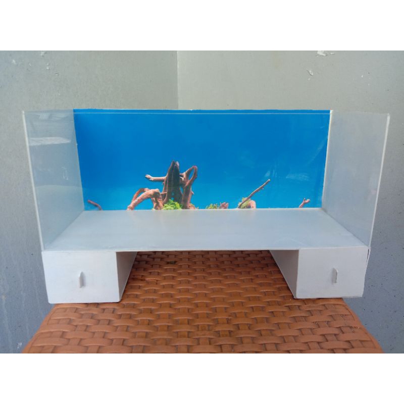 Aquarium minimalis - akuarium mini - aquarium ikan hias kecil