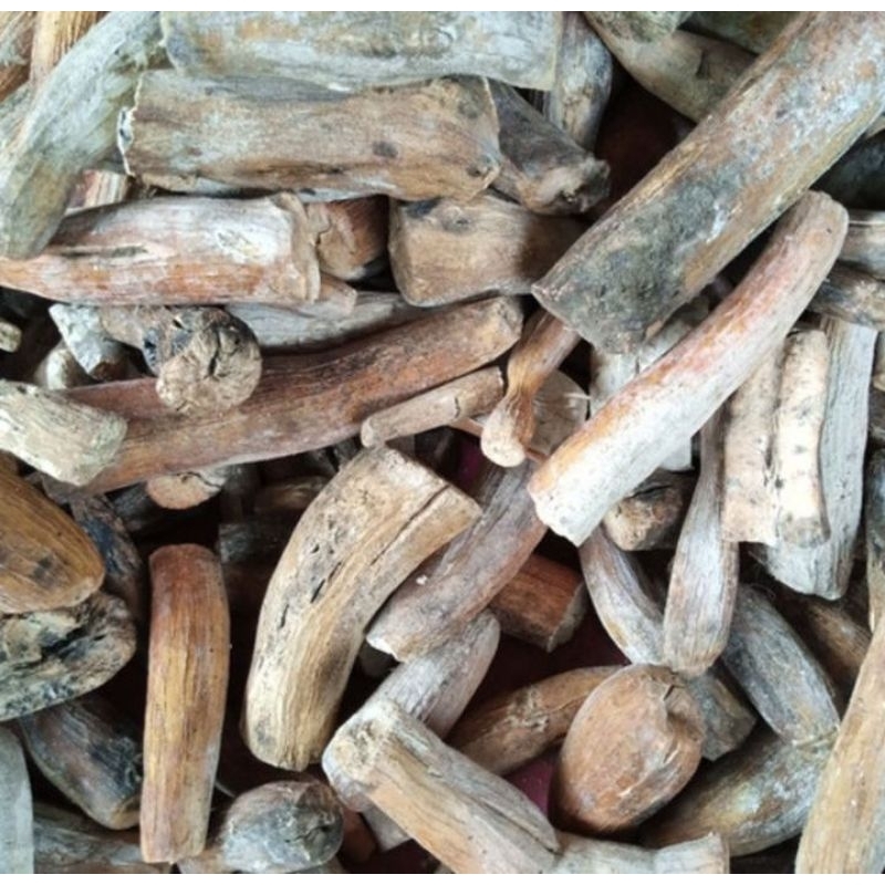 

Gatot singkong berkualitas super Gatot singkong super